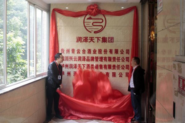 瀘州潤澤天下集團公司正式揭牌成立